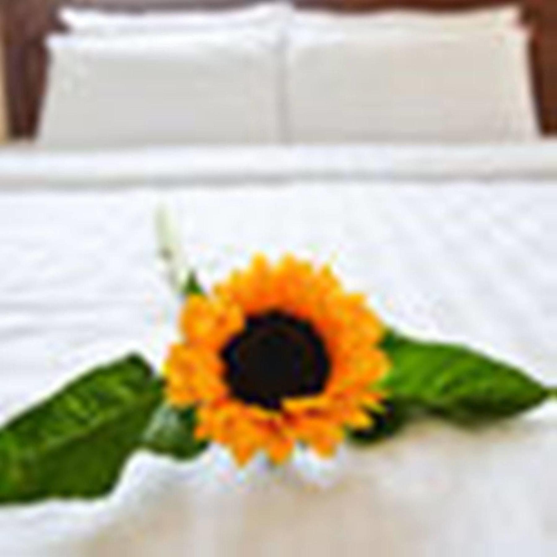 Fulmar Hotel Da Nang Buitenkant foto